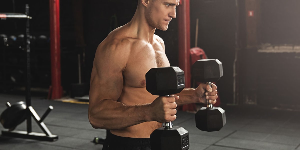 Back and Bicep workout | bicep workouts