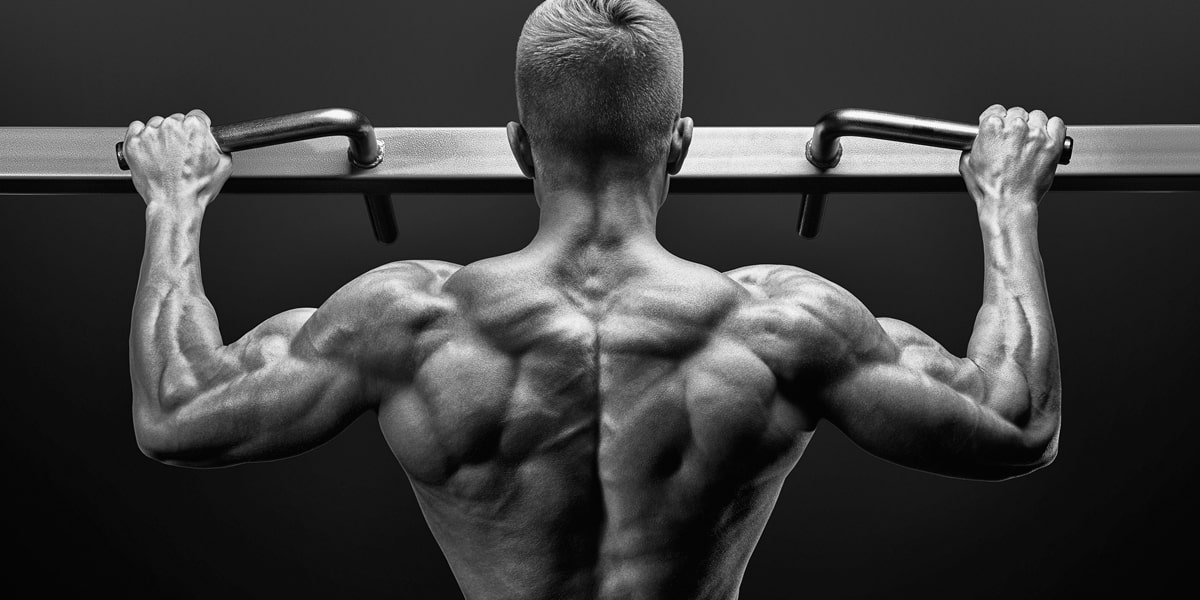 Back and Bicep workout | bicep workouts at home