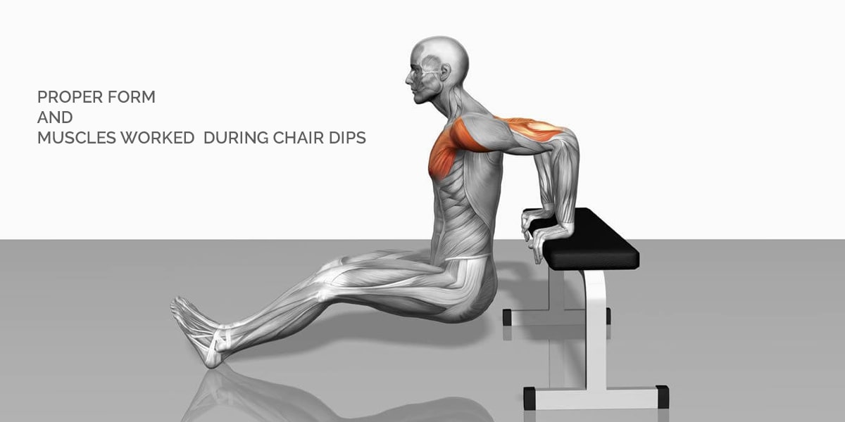 Triceps Dips On Chair