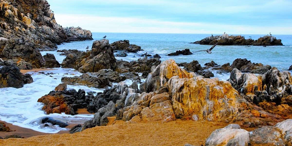 Pan de Azúcar National Park, Chile